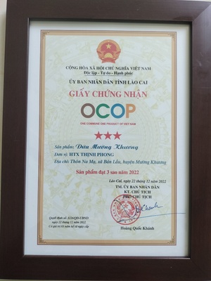 Dứa Mường Khương - OCOP