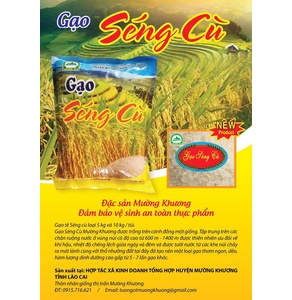Đặc sản gạo tẻ Séng Cù Mường Khương 5Kg ( ocop 3 sao)