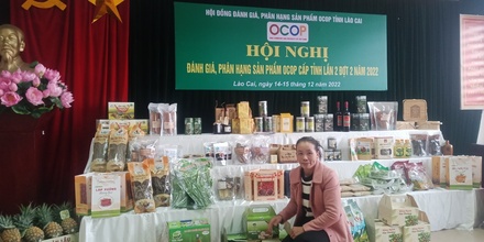 Khoai sọ Nậm mả củ tươi (loại xô) -OCOP