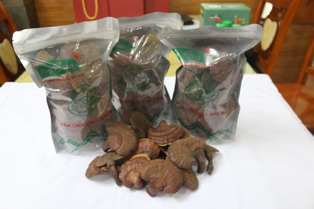 Nấm linh chi 300gram